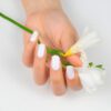 Marca: NOOVES. Imagen: Snow_White_P.jpg. NOOVES NAILS Láminas de Uñas de Gel Precurado Premium - Snow White - Blanco | Tiras De Uñas De Gel semicurado| Pegatinas Uñas Semipermanente en Gel| Gel Nail stickers| Uñas de gel Pegatinas