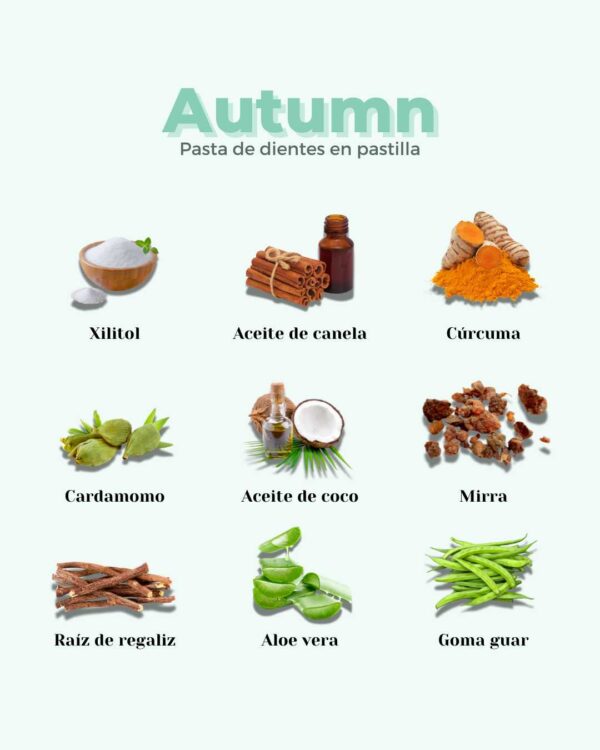 Marca: BANBU. Imagen: 4.Ingredientes_b76f1b61-1b2a-4436-af70-e50695518470.jpg. Pasta de Dientes en Pastilla ECO AUTUMN. 120 pastillas.