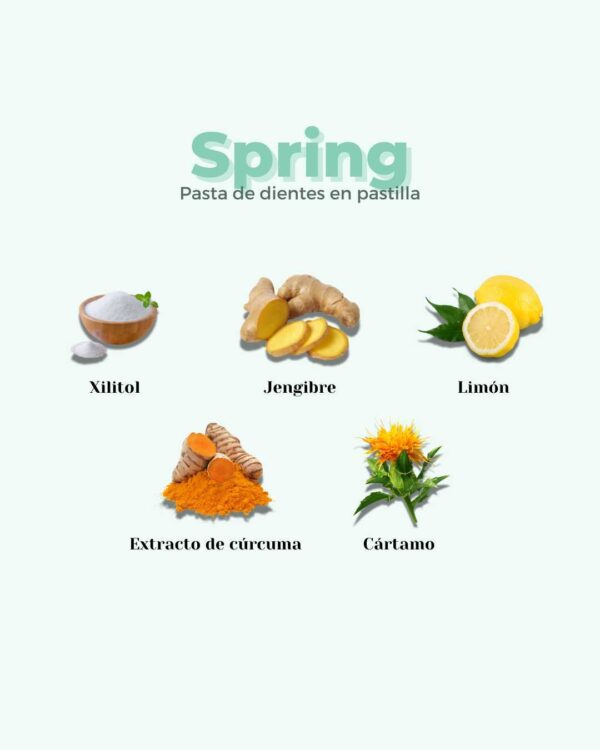 Marca: BANBU. Imagen: 4.Ingredientes_bdae182b-0730-4fb7-b4cf-4b8fb62bc315.jpg. Pasta de Dientes en Pastilla ECO SPRING. 120 pastillas.