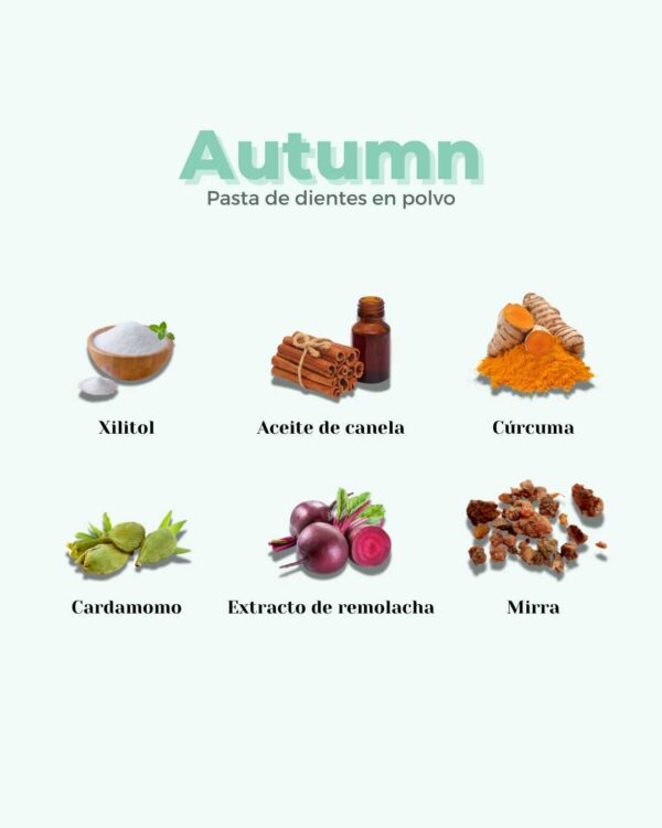 Marca: BANBU. Imagen: 4.Ingredientes_c955d8e8-53e3-48b8-a82b-dd7dd661515e.jpg. Pasta de Dientes en Polvo ECO AUTUMN. 60ml.