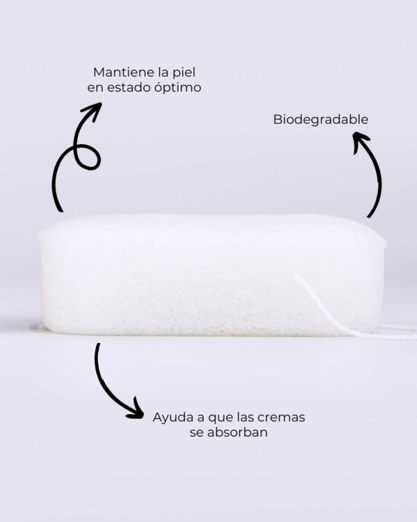 Marca: BANBU. Imagen: Esponja_corporal_konjac_natural_beneficios.jpg. Esponja Konjac Corporal Purificante Natural