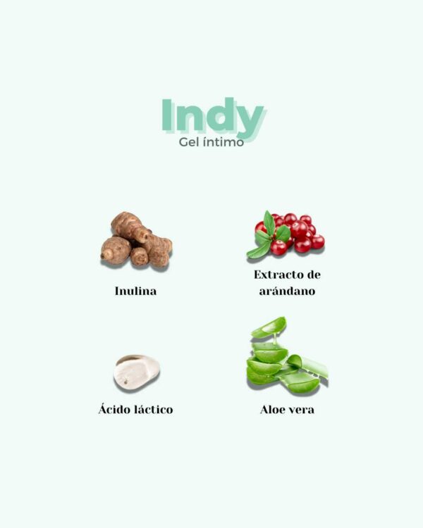 Marca: BANBU. Imagen: Gel_intimo_indy_ingredientes.jpg. Gel Íntimo con probióticos y prebióticos Indy. 50gr.