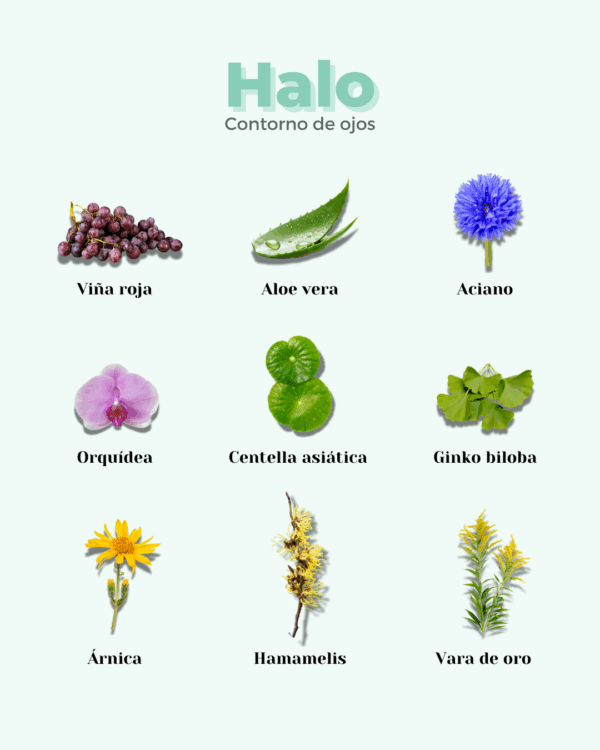 Marca: BANBU. Imagen: Ingredientes_0a8bb7b3-36a3-4ff6-85c6-f8235daf78ee.png. Contorno de Ojos ECO HALO. 30ml.