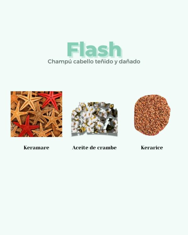Marca: BANBU. Imagen: Ingredientes_0d4be0ea-bef6-4730-b9e9-b0d97da65c5d.jpg. Champú Sólido ECO Reparador Cabello Dañado FLASH. 75gr.