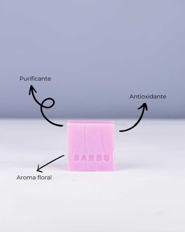 Marca: BANBU. Imagen: Jabon_de_ducha_empathy_beneficios.jpg. Jabón de Ducha Sólido ECO Floral EMPATHY. 100gr.