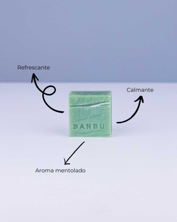 Marca: BANBU. Imagen: Jabon_de_ducha_freedom_caracteristicas.jpg. Jabón de Ducha Sólido ECO Mentolado FREEDOM. 100gr.
