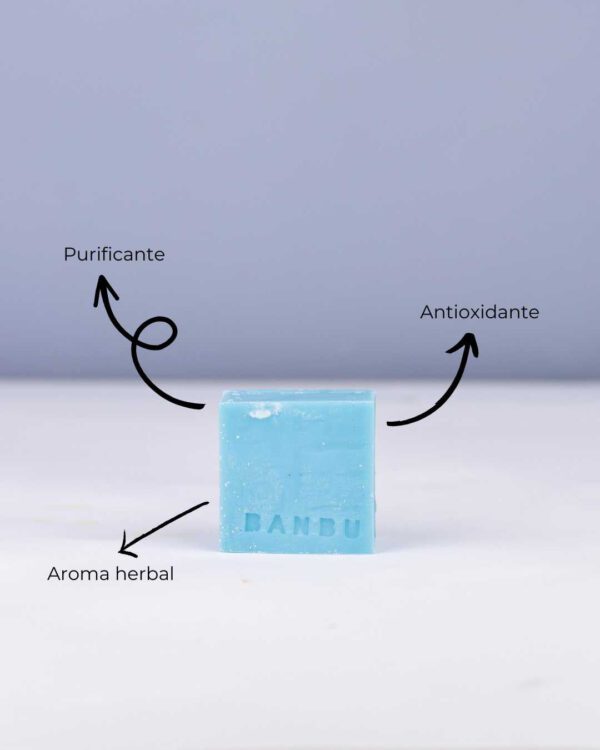 Marca: BANBU. Imagen: Jabon_de_ducha_nostalgia_beneficios.jpg. Jabón de Ducha Sólido ECO Silvestre NOSTALGIA. 100gr.
