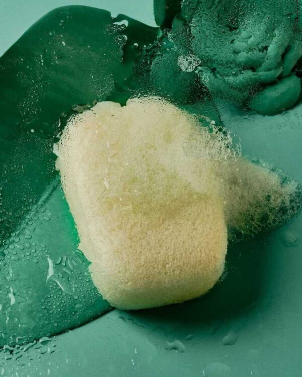 Marca: BANBU. Imagen: Konjac_corporal_natural_humeda.jpg. Esponja Konjac Corporal Purificante Natural