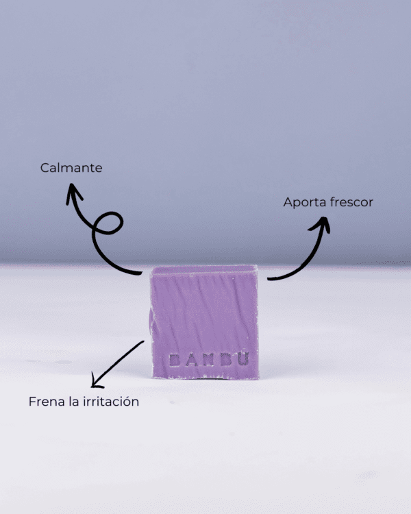 Marca: BANBU. Imagen: Mousse_facial_kadia_beneficios.png. Mousse Facial ECO Piel Sensible KADIA. 100gr.
