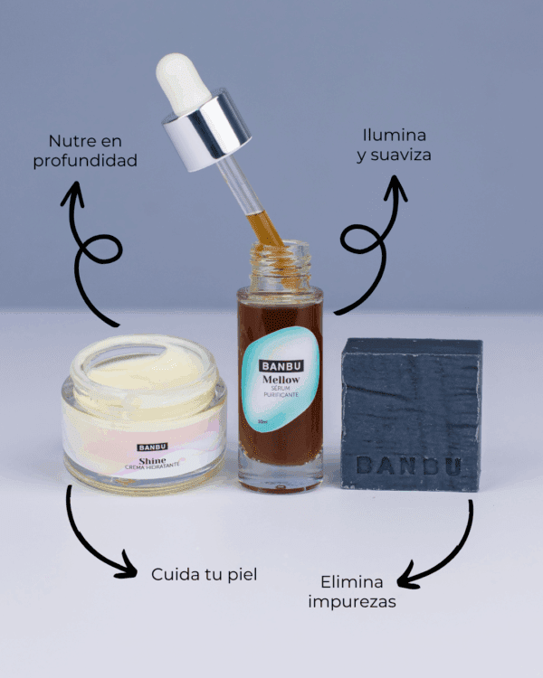 Marca: BANBU. Imagen: Pack_facial_medio_piel_mixta_y_grasa_beneficios.png. Pack Rutina Facial MEDIA ECO - Well Aging PIEL MIXTA Y GRASA