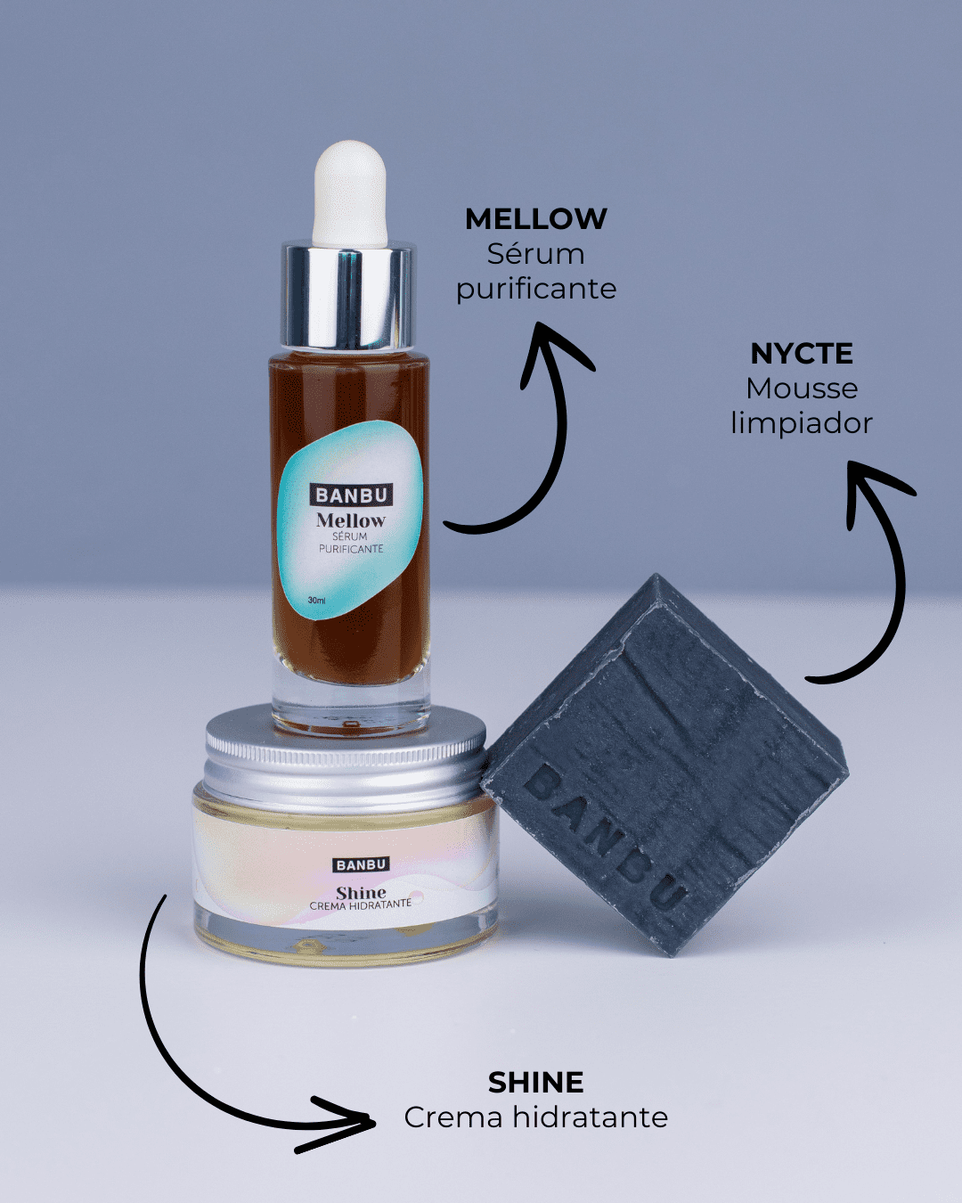 Marca: BANBU. Imagen: Pack_facial_medio_piel_mixta_y_grasa_productos.png. Pack Rutina Facial MEDIA ECO - Well Aging PIEL MIXTA Y GRASA