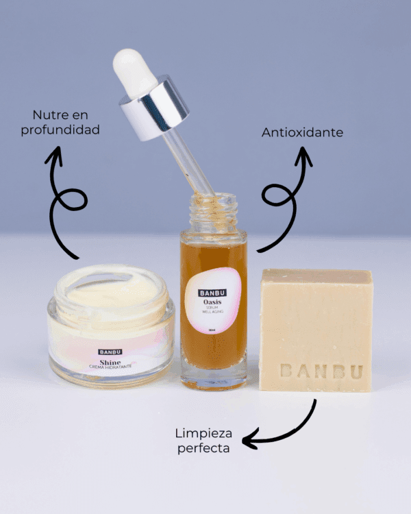 Marca: BANBU. Imagen: Pack_facial_medio_piel_seca_beneficios.png. Pack Rutina Facial MEDIA ECO - Well Aging PIEL SECA