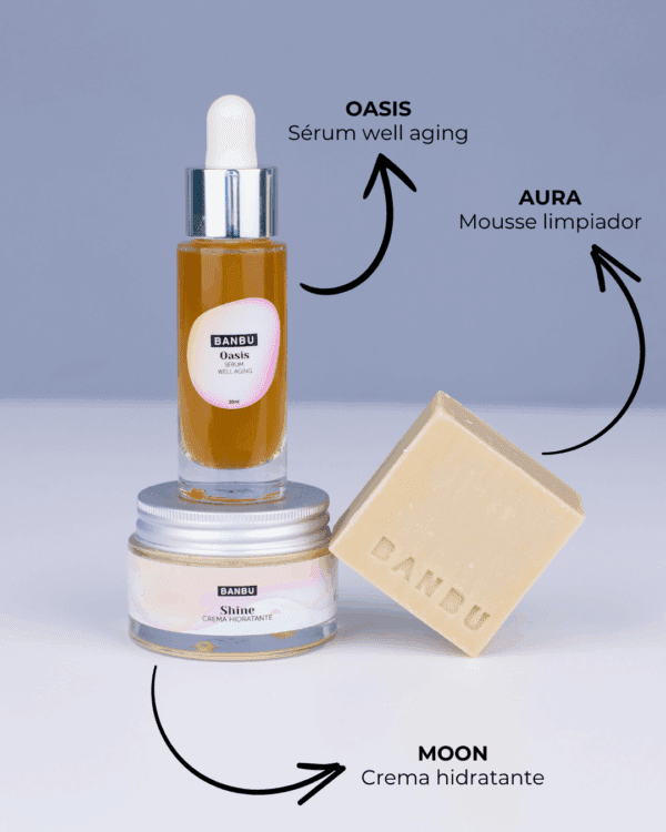 Marca: BANBU. Imagen: Pack_facial_medio_piel_seca_productos.png. Pack Rutina Facial MEDIA ECO - Well Aging PIEL SECA