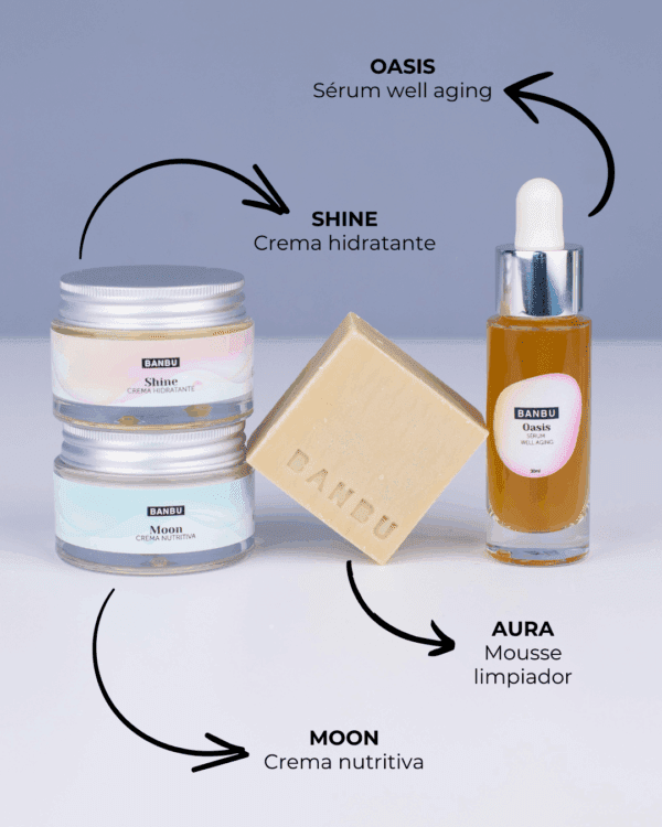 Marca: BANBU. Imagen: Pack_facial_piel_seca_productos.png. Pack Rutina Facial COMPLETA ECO - Well Aging PIEL SECA