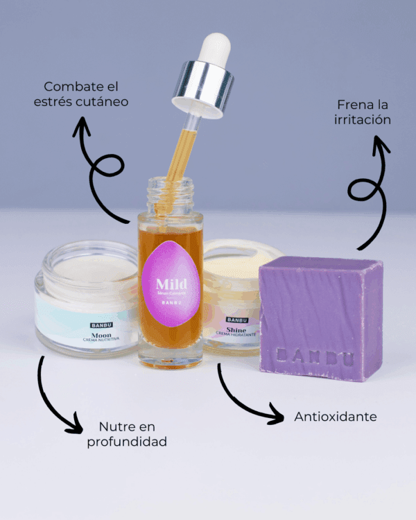 Marca: BANBU. Imagen: Pack_rutina_facial_antiedad_beneficios.png. Pack Rutina Facial COMPLETA ECO - Well Aging PIEL SENSIBLE