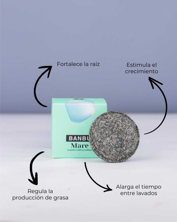 Marca: BANBU. Imagen: Producto_Beneficios2_aabdfbf3-db63-4cdc-9f36-dcf72af14dbd.jpg. Champú Sólido ECO Cabello Graso MARE. 75gr.