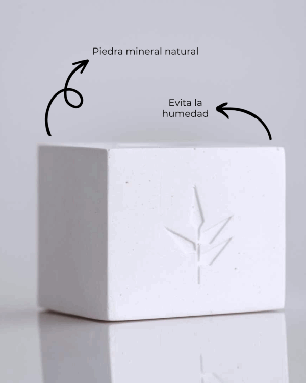 Marca: BANBU. Imagen: Soporte_absorbente_caracteristicass.png. Soporte Absorbente