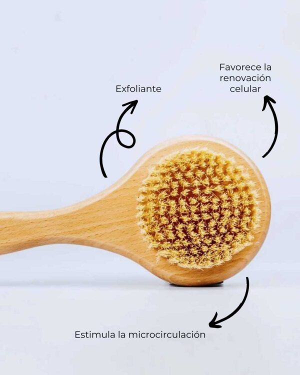Marca: BANBU. Imagen: cepillo_madera_exfoliante_beneficios.jpg. Cepillo de Madera Exfoliante Bath Brush