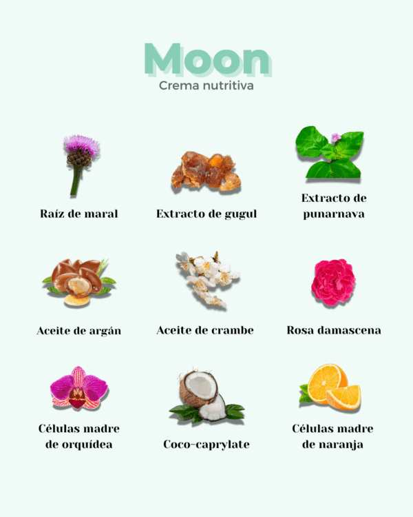 Marca: BANBU. Imagen: crema_facial_moon_ingredientes.png. Crema Facial ECO Nutritiva Well Aging MOON. 50ml.