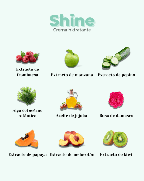 Marca: BANBU. Imagen: crema_facial_shine_ingredientes.png. Crema Facial ECO Hidratante SHINE. 50ml.