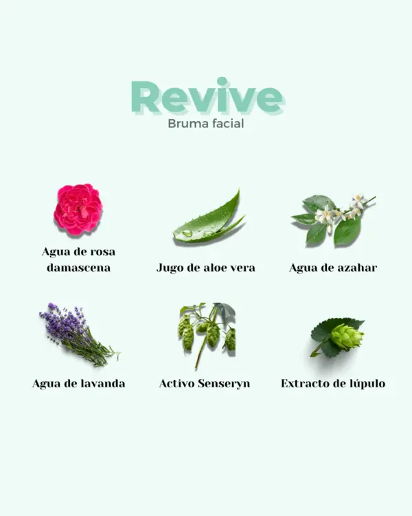 Marca: BANBU. Imagen: tonico_facial_revive_ingredeintes.webp. Tónico para Pieles Secas y Sensibles REVIVE. 100ml.