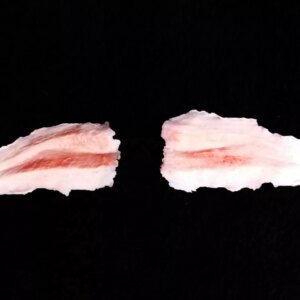 Marca: HARPO H.R.P.. Imagen: boca-cortada.jpg. Boca Cortada