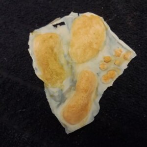 Marca: HARPO H.R.P.. Imagen: molde-4-ii.jpg. Molde 4 II