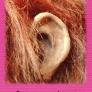 Marca: HARPO H.R.P.. Imagen: orejas-de-mono.jpg. Orejas de mono