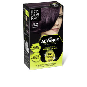 Marca: LLONGUERAS. Imagen: 212349.jpg. LLONGUERAS. COLOR ADVANCE #4,2-borgoña 1 u